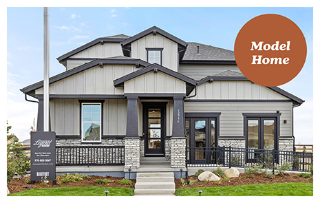 American Legend Homes in Barefoot in Firestone, CO