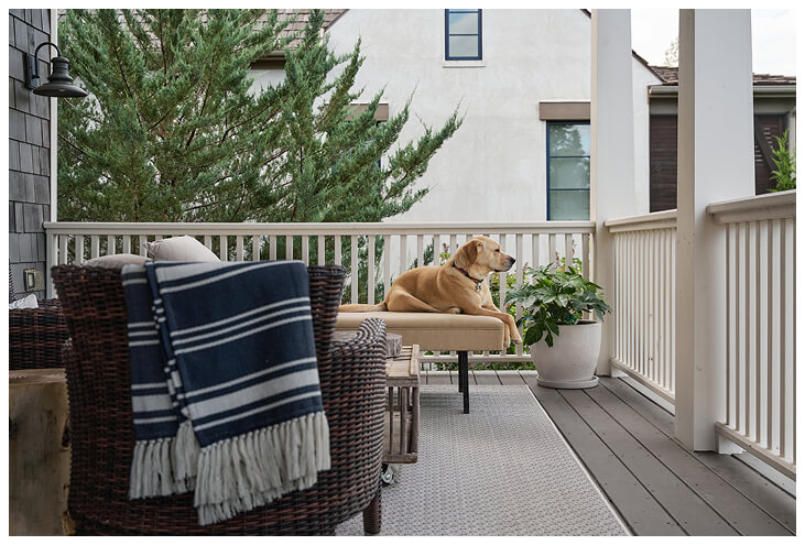 Dog On Porch
