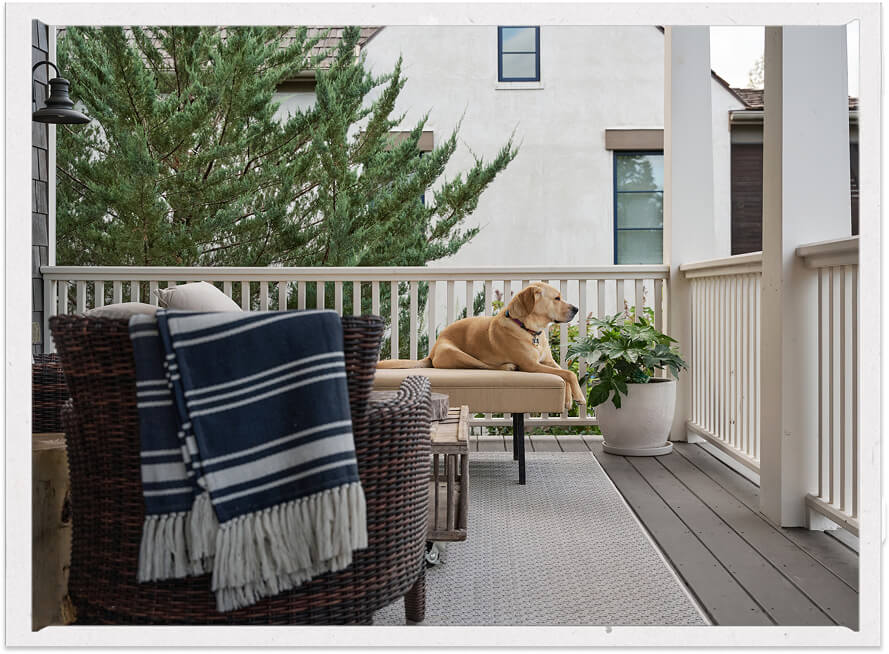 Dog On Porch