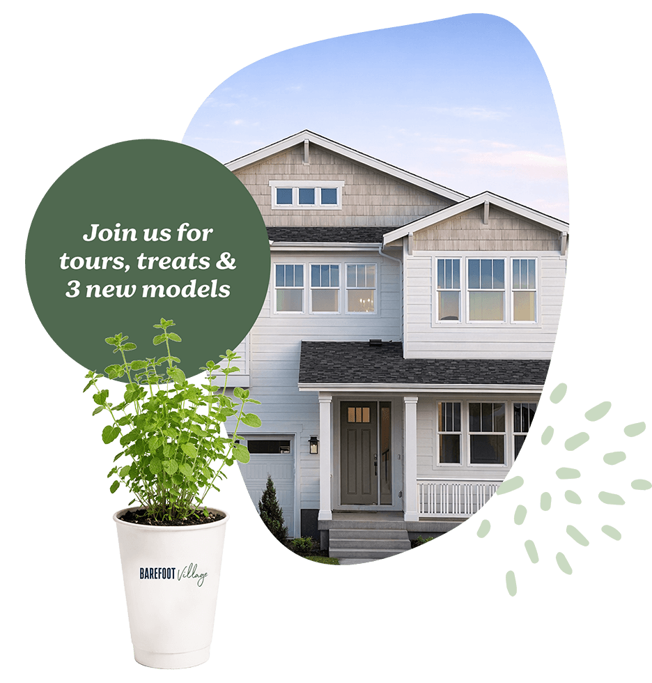 Barefoot Unveiling Graphic