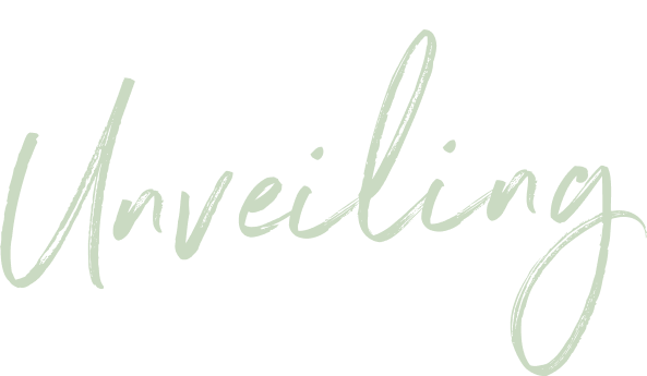 Model Home Unveiling