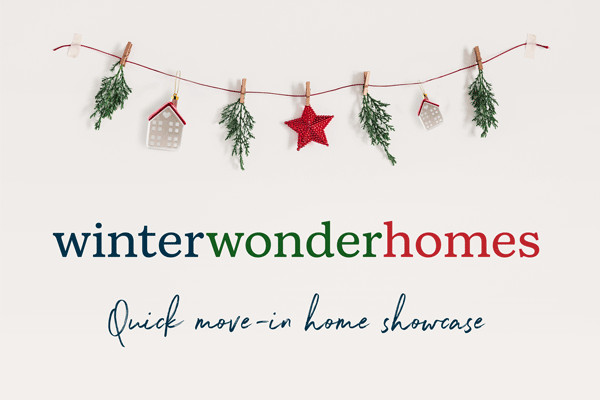 Barefoot Lakes Colorado Winter Wonder Homes Promotion