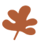 leaf icon