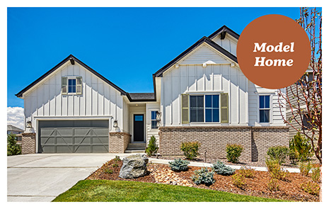 Richmond American Homes in Barefoot in Firestone, CO